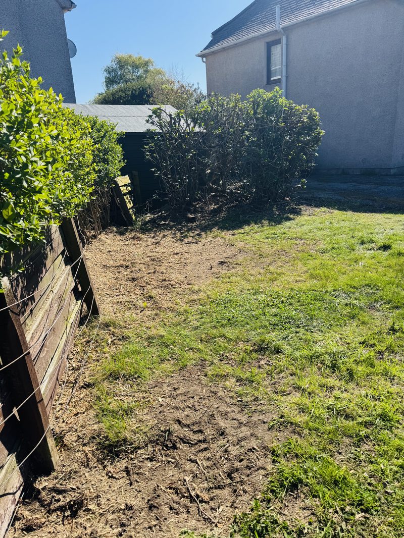 Garden left tidied after stump grinding and tree work