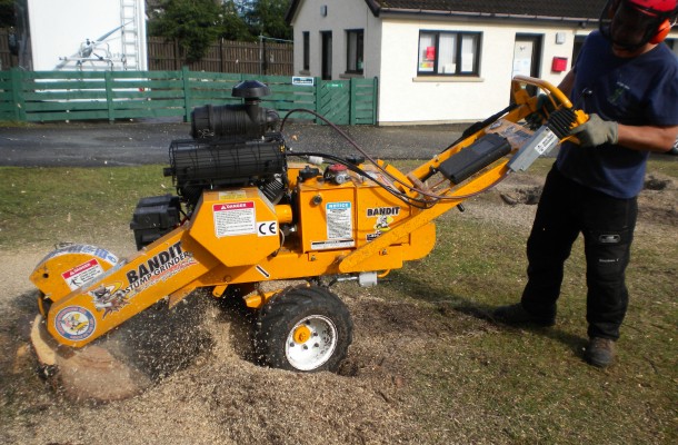 Stump Grinding / Removal